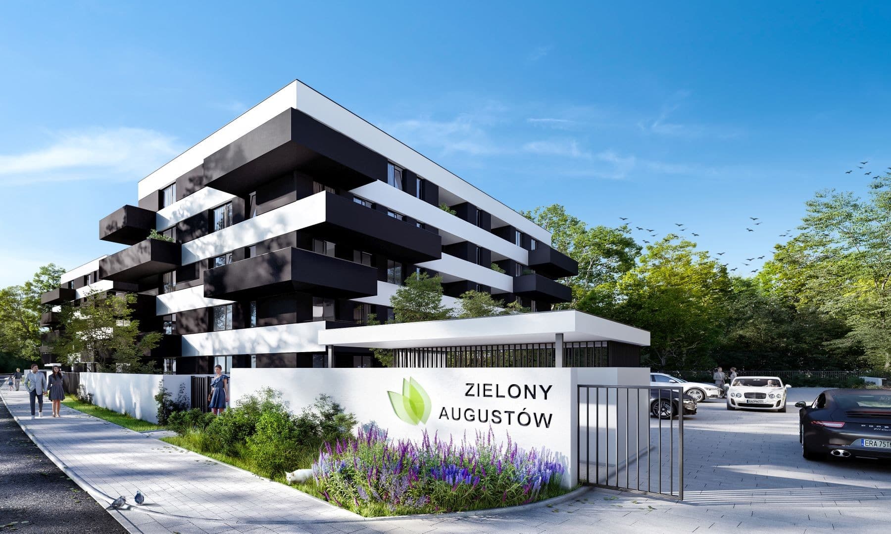 Zielony Augustów — zdjęcie 1