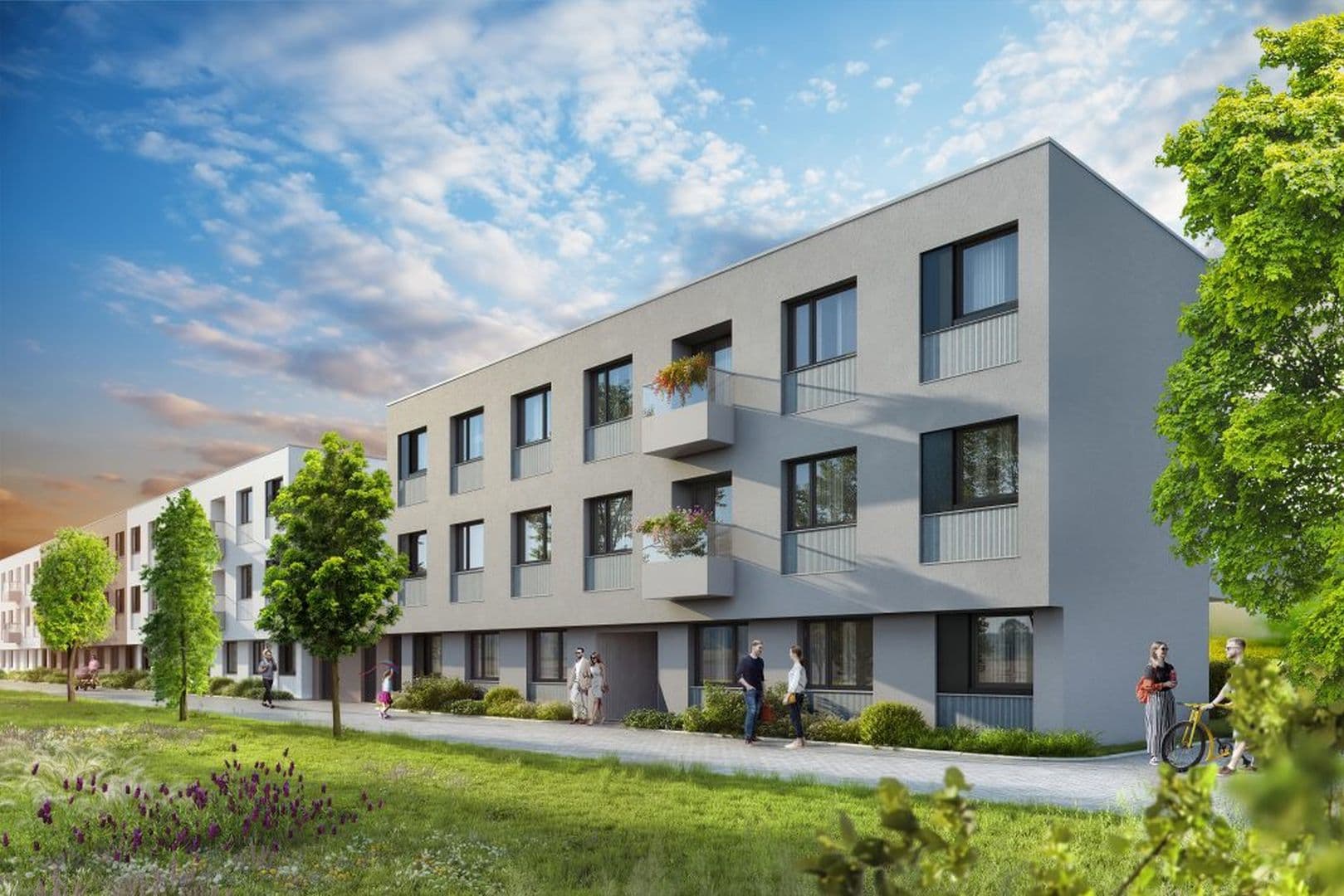 Zielony Lewandów — zdjęcie 1